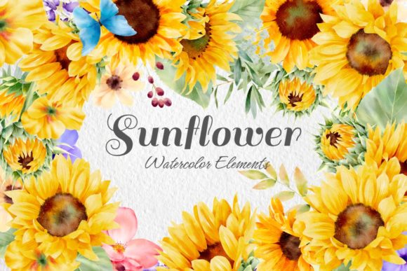 Download Sunflower Watercolor Elements 2 - Premium Bundle