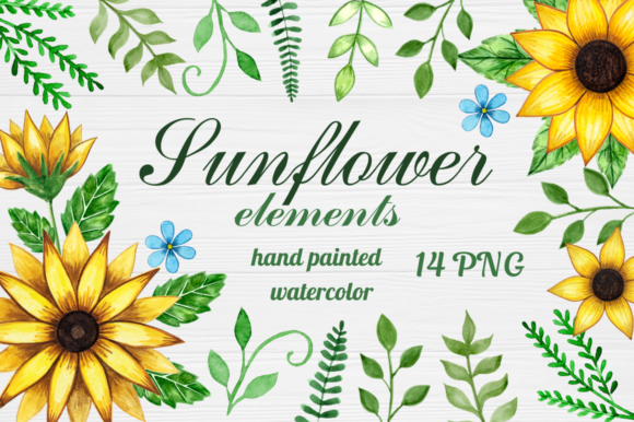 Download Watercolor Sunflower Elements Clipart - Premium Resources