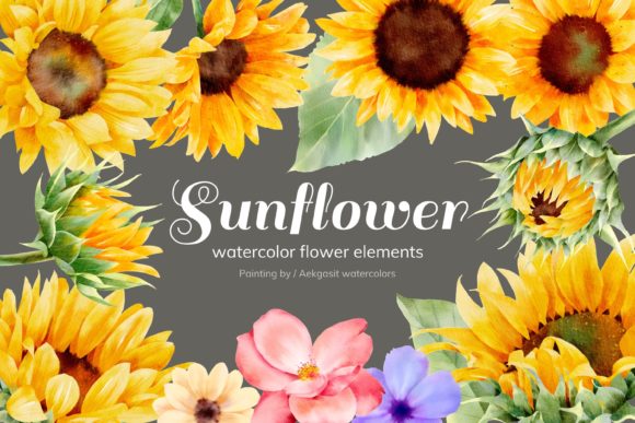 Download Sunflower Watercolor Elements - Premium Bundle