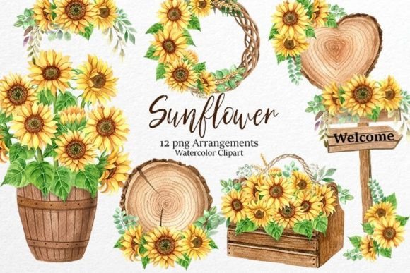 Download Watercolor Sunflowers, Floral Clipart - Premium Bundle