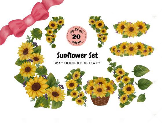 Download Watercolor Sunflower Set with Bonus!! - Premium Resources