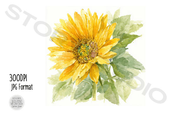 Download Watercolor Sunflower Clipart Set - Premium Resources
